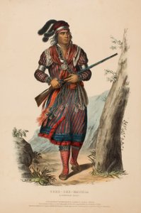 TUKO-SEE-MATHLA. A SEMINOLE CHIEF, uit History of the Indian Tribes of North America. door Charles Bird King