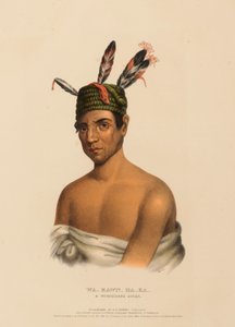 WA-KAWN-HA-KA, A WINNEBAGO CHIEF, uit History of the Indian Tribes of North America. door Charles Bird King