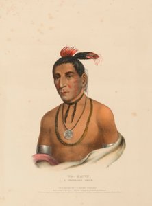 WA-KAWN, A WINNEBAGO CHIEF, uit History of the Indian Tribes of North America. door Charles Bird King