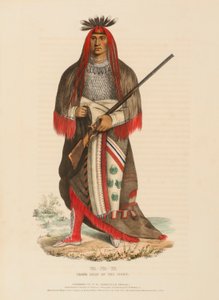 WA-NA-TA. GRAND CHIEF OF THE SIOUX, uit History of the Indian Tribes of North America door Charles Bird King