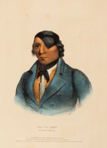 WAA-PA-SHAW. A SIOUX CHIEF, uit History of the Indian Tribes of North America door Charles Bird King