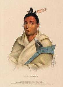 WAA-TOP-E-NOT., uit Geschiedenis van de Indianenstammen van Noord-Amerika