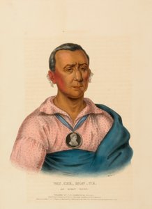 WAT-CHE-MON-NE, AN IOWAY CHIEF, uit History of the Indian Tribes of North America. door Charles Bird King