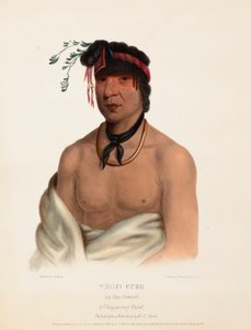 WESH-CUBB. A CHIPPEWAY CHIEF, uit de geschiedenis van de indianenstammen van Noord-Amerika