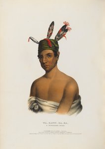 Wa-kawn-ha-ka - een Winnebago-opperhoofd door Charles Bird King
