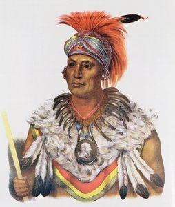 Wapella of de Prins Hoofd van de Vossen, 1837, illustratie uit 