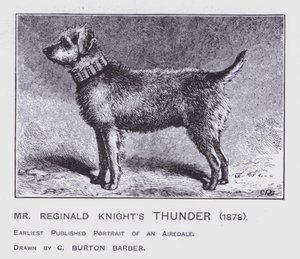 De donder van meneer Reginald Knight