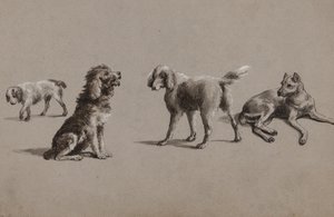 Studies van honden door Charles Cooper Henderson