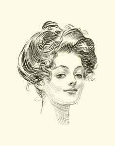 Illustratie voor De Sociale Ladder door Charles Dana Gibson