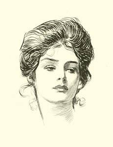 Illustratie voor De Sociale Ladder door Charles Dana Gibson