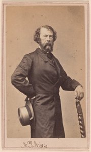  door Charles DeForest Fredricks
