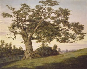 De charter-eik door Charles de Wolf Brownell