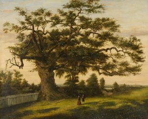 De charter-eik door Charles de Wolf Brownell