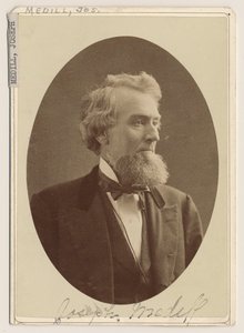 Portret van Joseph Medill, ca. 1876 door Charles Delevan Mosher