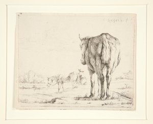 Twee Grazende Paarden door Charles Echard