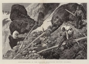 Geitenschieten in de Cascade Mountains, Brits-Columbia