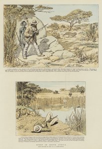 Sport in Zuid-Afrika