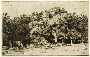 Een Deel van het Bos van Fontainebleau door Charles Emile Jacque