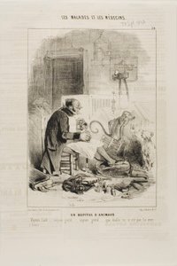 Een dierenziekenhuis (plaat 20) door Charles Emile Jacque