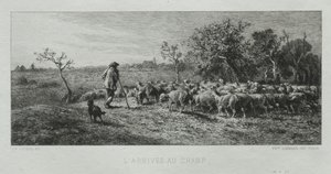 Aankomst op het Veld