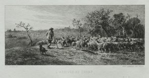 Aankomst op het veld