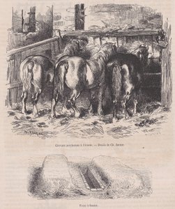 Percheron paarden in de stal, mesthoop, uit Magasin Pittoresque, ca. 1852