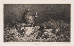 Kippen Poutes, 1867