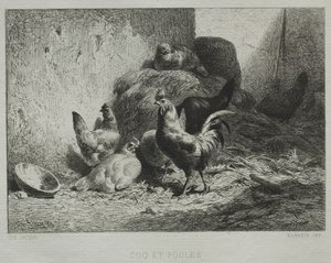 Haan en hennen
