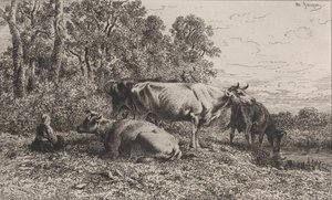 Nederlandse koeien, 1864