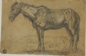 Uitgemergeld paard (recto); vooraanzicht van een paard (verso) door Charles Emile Jacque