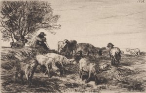 Kudde Schapen, 1864