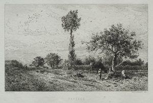 Landschap