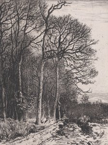 Bosrand, 1846 door Charles Emile Jacque