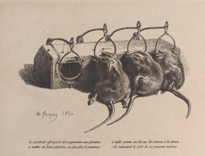 Muisval, 1860