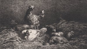 Kippen, 1867