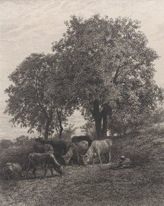 Rust, 1864