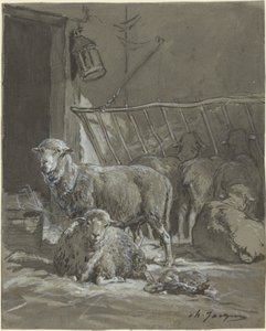 Schapen in een Kribbe