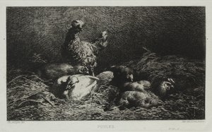 De kippen