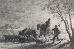De terugkeer van de velden