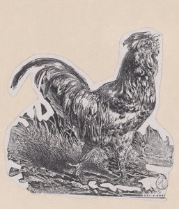 De Haan, ca. 1853