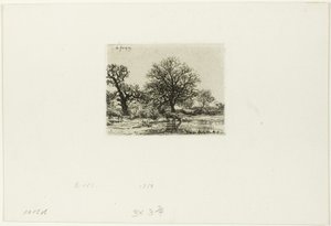 Bomen en Koeien bij een Vijver