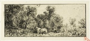 Twee paarden in een bos