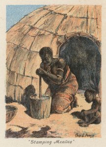Zuid-Afrika: "Stampen van Maïs"