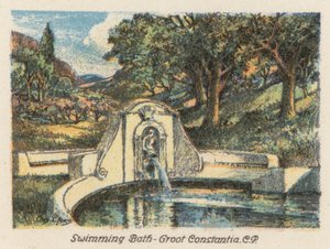 Zuid-Afrika: Zwembad, Groot Constantia, CP