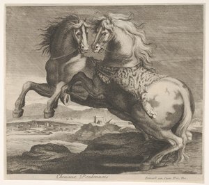 Poulonnois paarden