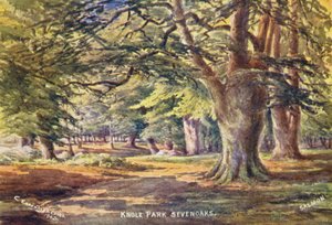 Knole House: Beukenbomen in het Park door Charles Essenhigh Corke