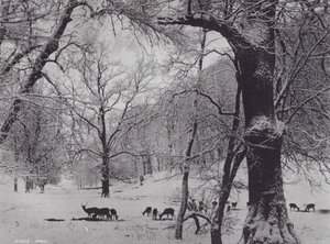 Knole Park door Charles Essenhigh Corke