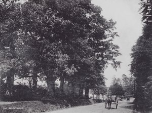 De Zeven Eiken door Charles Essenhigh Corke