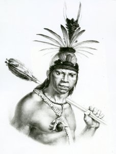 Hoofd Camacan Mongoyo uit 