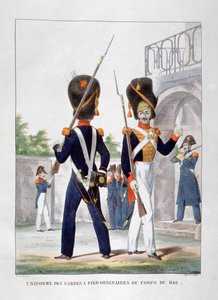 Uniformen van voetsoldaten van het Franse koninklijke korps, 1823 door Charles Etienne Pierre Motte